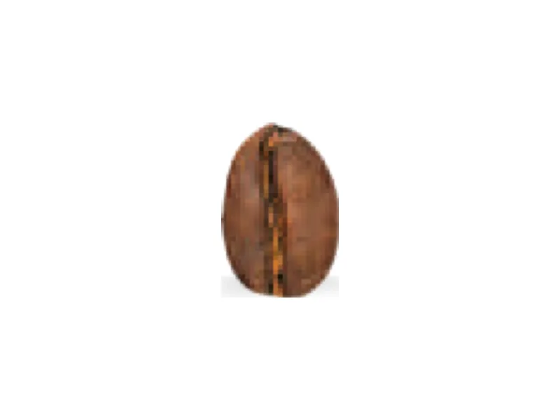 Café Kaapeh, México, arábica orgánico descafeinado