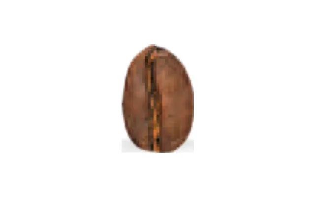 Café Sidamo, Etiopía, arábica orgánico en grano