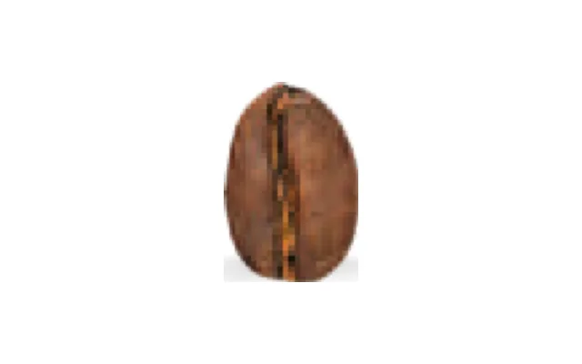 Café Wuriti, Honduras, arábica orgánico en grano