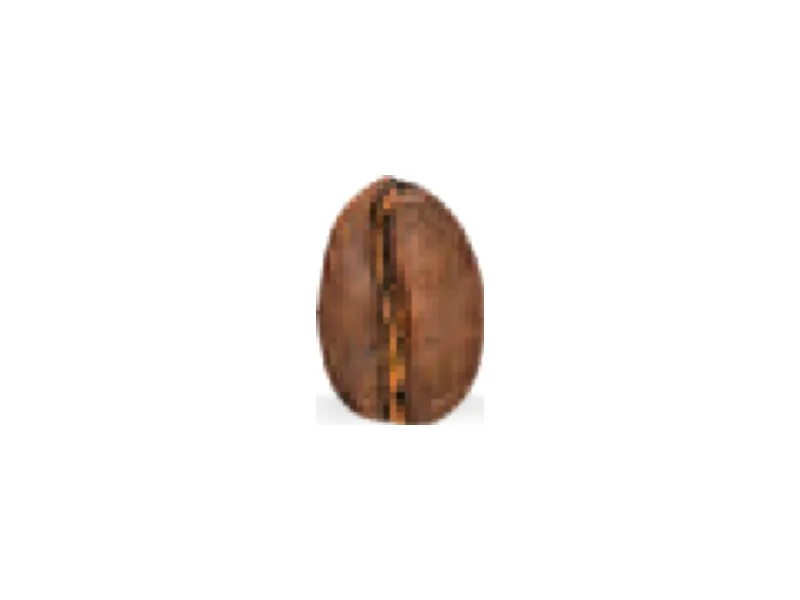 Café Wuriti, Honduras, arábica orgánico en grano