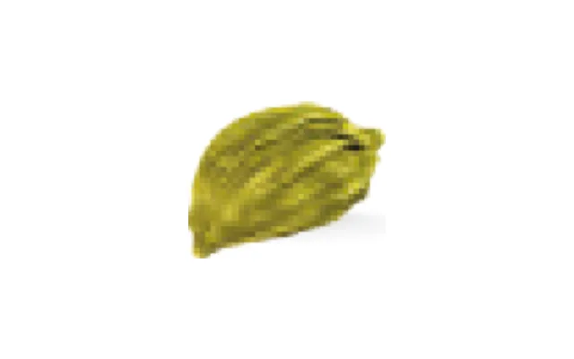 Cardamomo verde