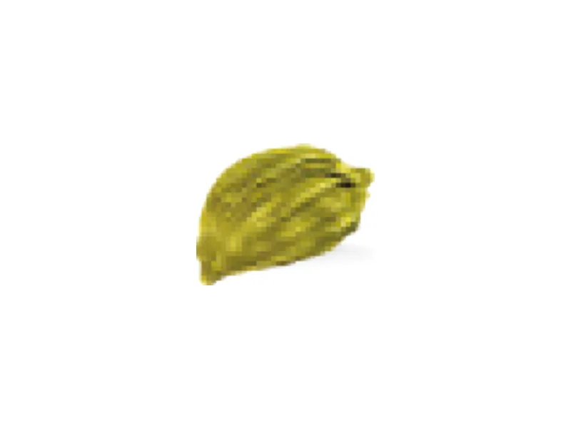 Cardamomo verde
