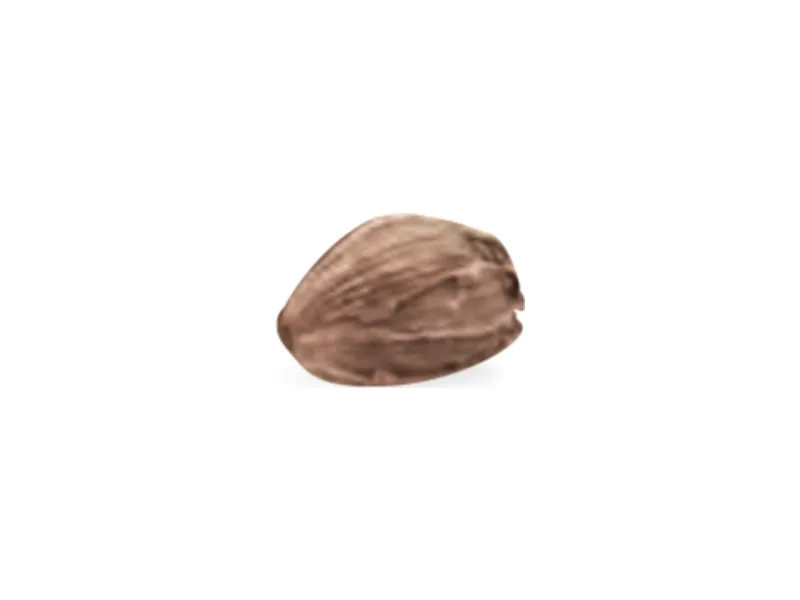 Cardamomo negro
