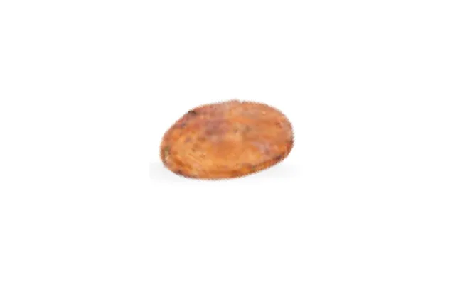 Grano de cacao