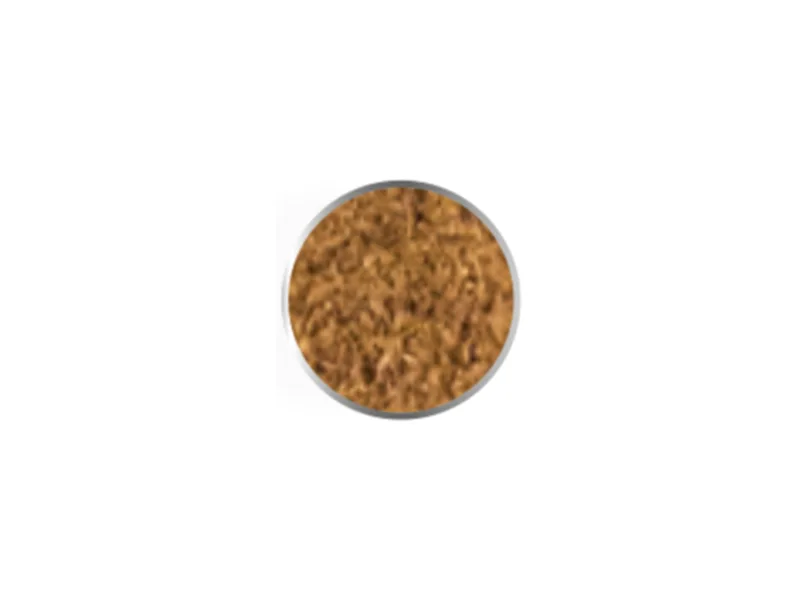 Garam masala