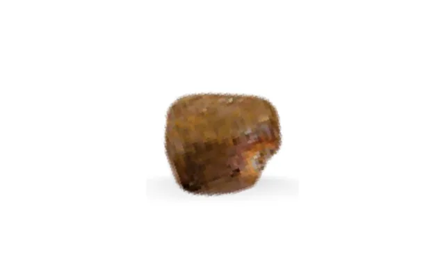 Semilla de korarima