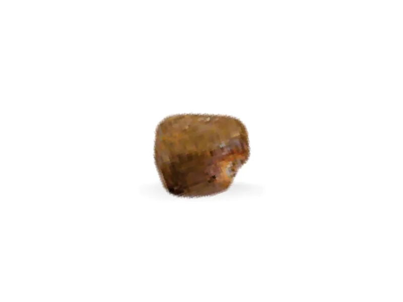 Semilla de korarima