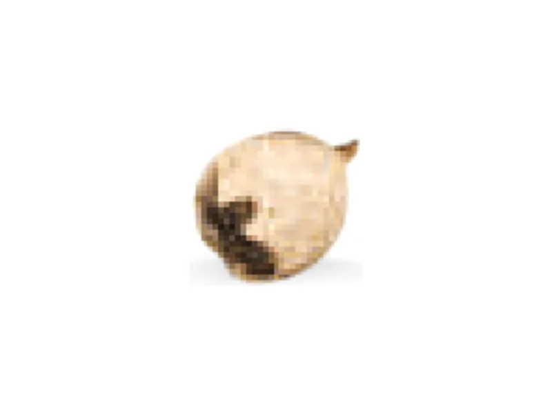 Baya de los monjes (sauzgatillo)