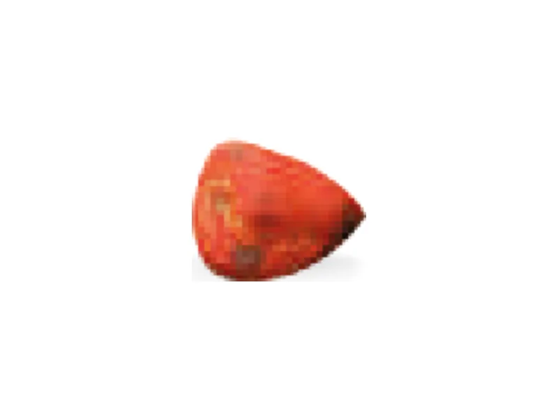 Semilla de achiote