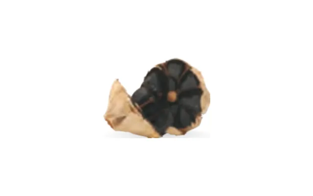 Ajo negro