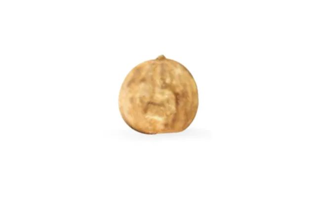 Limón amarillo seco