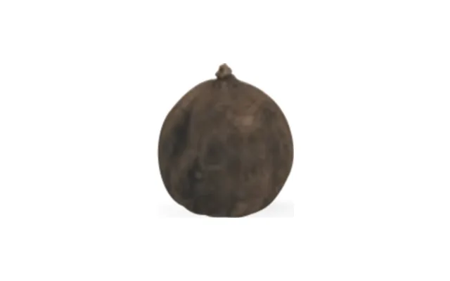 Limón negro seco