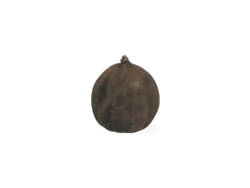 Limón negro seco