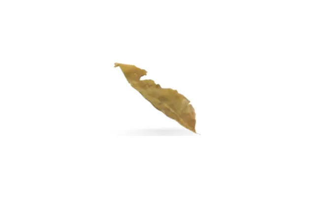 Hojas de curry