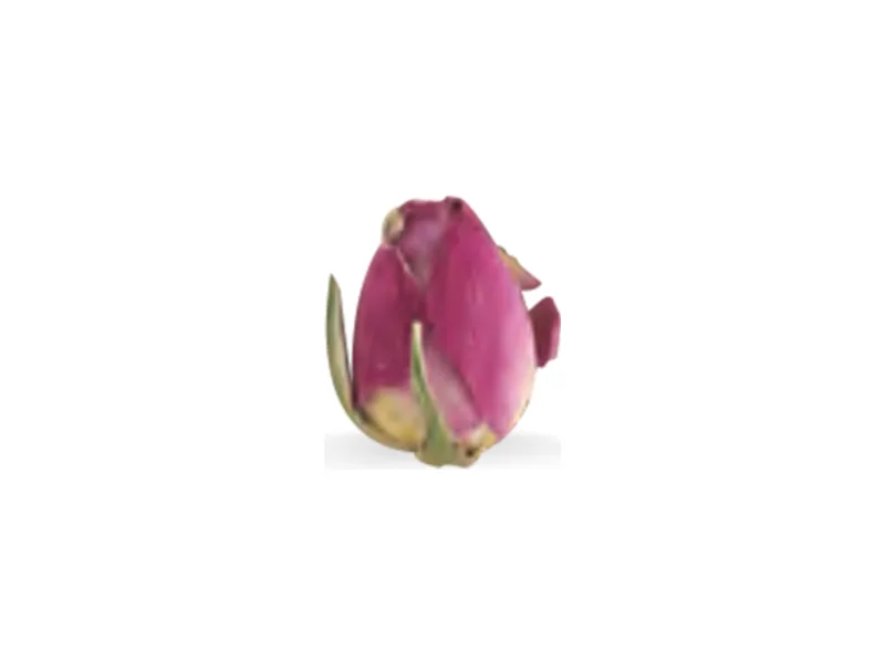 Botones de rosa