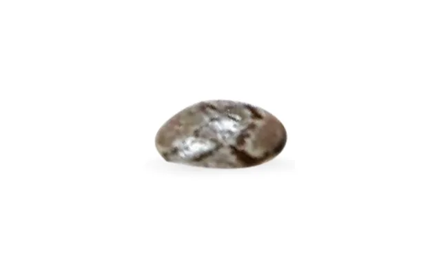 Semillas de chía
