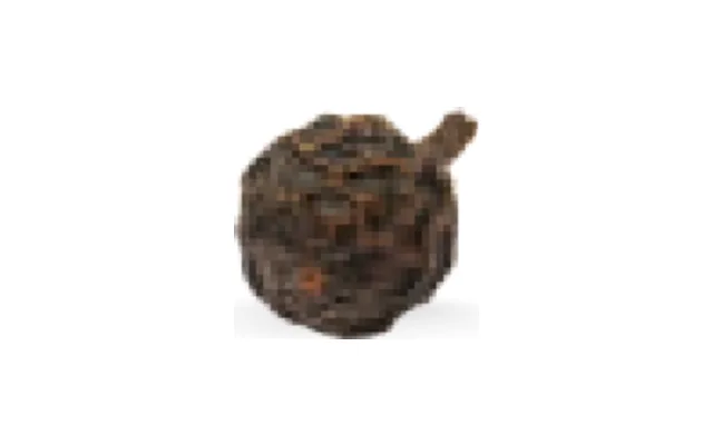 Pimienta cubeba