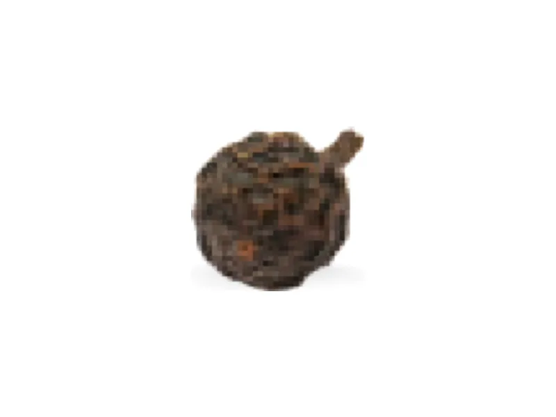 Pimienta cubeba