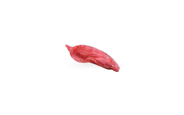Baya de goji