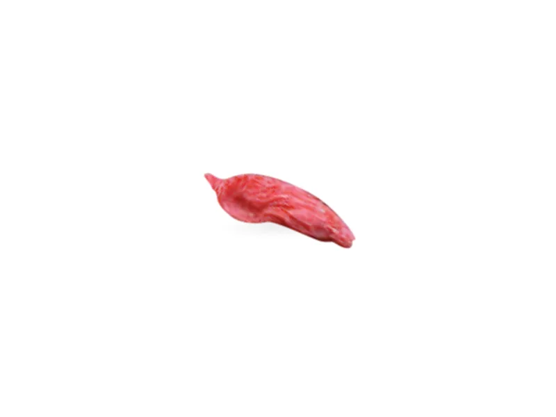 Baya de goji