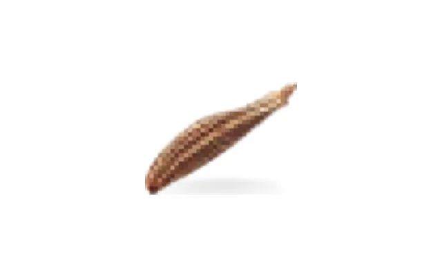 Comino tostado