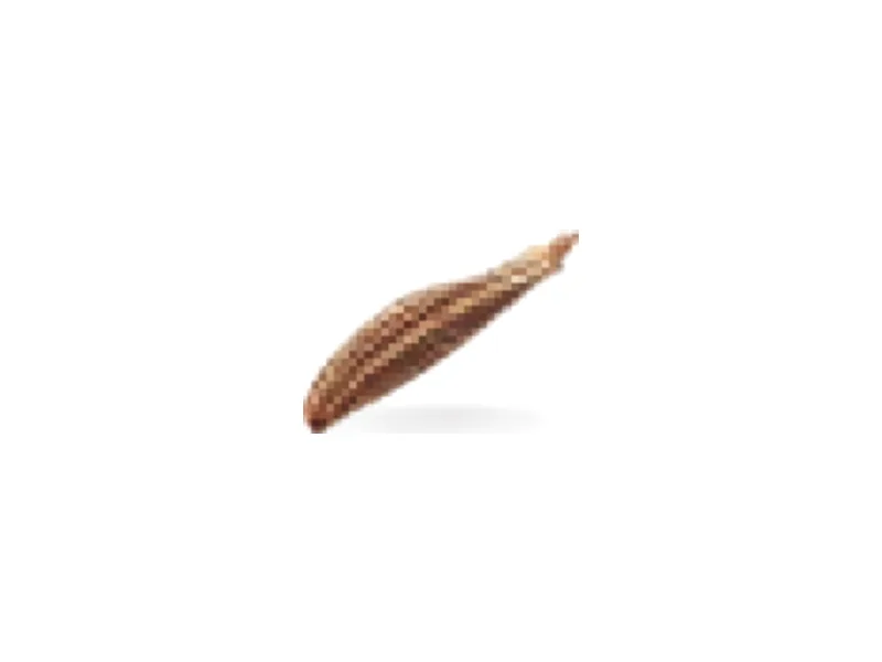 Comino tostado