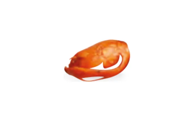 Macis de nuez moscada