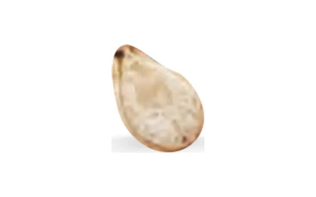 sésamo blanco