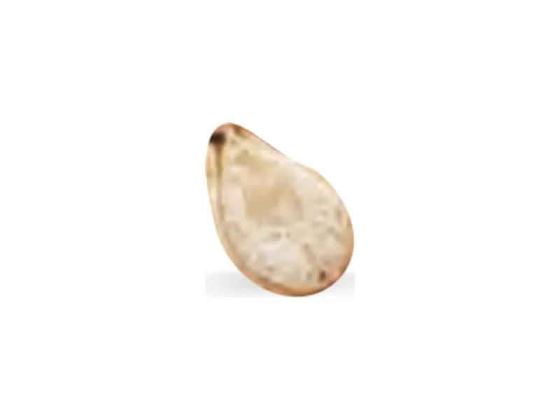 sésamo blanco