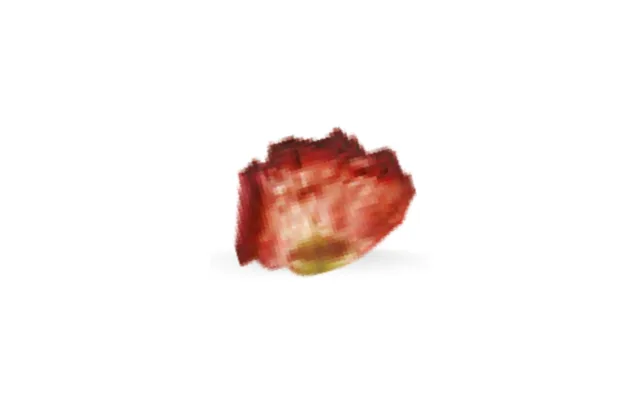 Pétalos de rosa