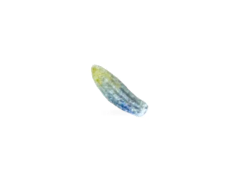 Lavanda azul